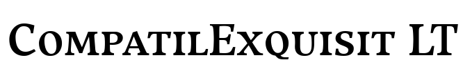 CompatilExquisit LT