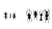 Win Bugs Font Image