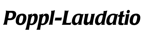 Poppl-Laudatio