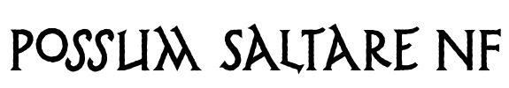 Possum Saltare NF