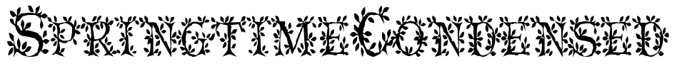 SpringtimeCondensed Font Image