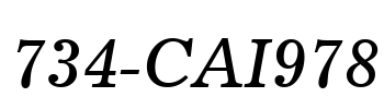 734-CAI978 Font Image