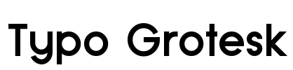 Typo Grotesk Font Image