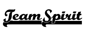 TeamSpirit Font Image