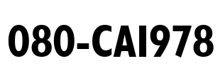 080-CAI978 Font Image