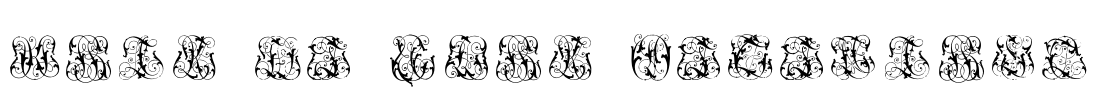Hard to Read Monograms Font Image