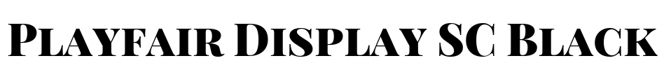 Playfair Display SC Black