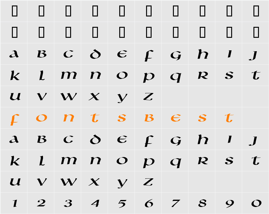 Leo Extended Character Map
