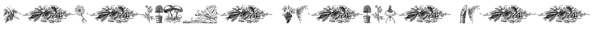 Vegetable Breathe Free Font Image
