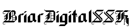 BriarDigitalSSK