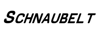 Schnaubelt Font Image