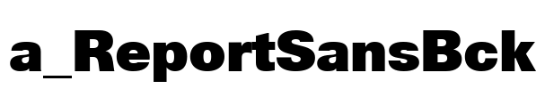 a_ReportSansBck