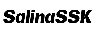 SalinaSSK Font Image