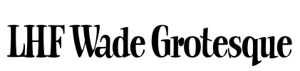 LHF Wade Grotesque Font Image