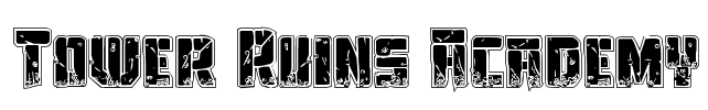 Tower Ruins Academy