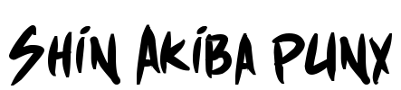 Shin Akiba punx Font Image