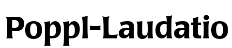 Poppl-Laudatio