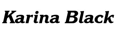 Karina Black Font Image