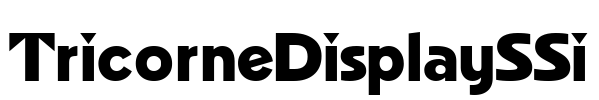 TricorneDisplaySSi
