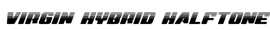 Virgin Hybrid Halftone Font Image