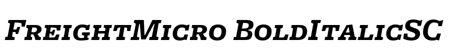 FreightMicro BoldItalicSC