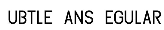 Subtle Sans Regular Font Image