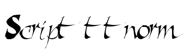Script ttnorm Font Image