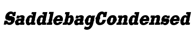 SaddlebagCondensed Font Image