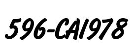 596-CAI978