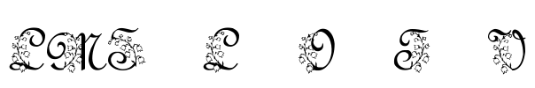 LMS Lily Of The Valley Font Image