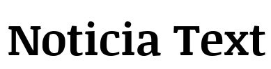 Noticia Text