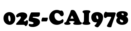 025-CAI978 Font Image