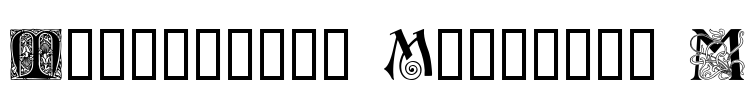 Ornamental Initials M Font Image