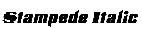 Stampede Italic Font Image