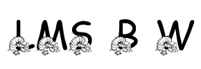 LMS Beach Wedding Font Image