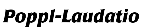 Poppl-Laudatio