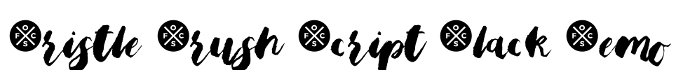 Bristle Brush Script Black Demo Font Image