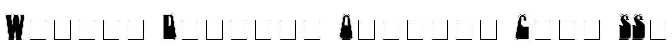 Woogie Display Outline Caps SSi