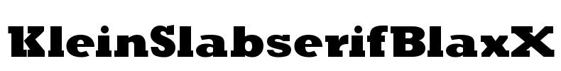 KleinSlabserifBlaxX