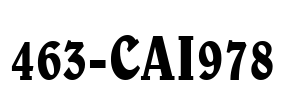 463-CAI978 Font Image