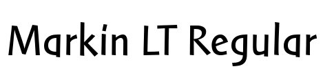 Markin LT Regular
