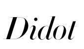 Didot Font Image