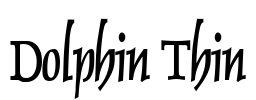 Dolphin Thin Font Image