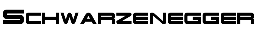 Schwarzenegger Font Image