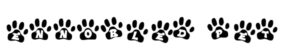 Ennobled Pet