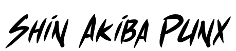 Shin Akiba Punx Font Image