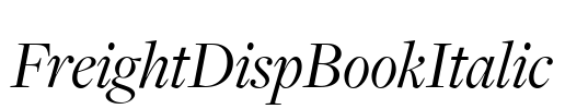 FreightDispBookItalic