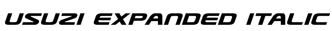 Usuzi Expanded Italic Font Image