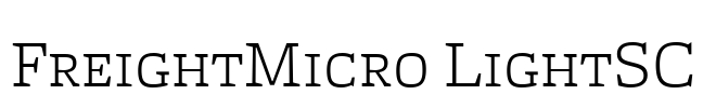 FreightMicro LightSC