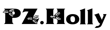 PZ.Holly Font Image
